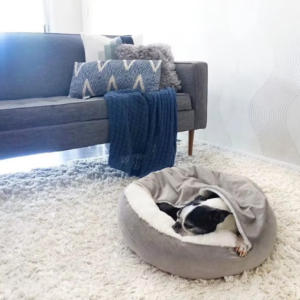 Lit pour chien avec couverture à capuche